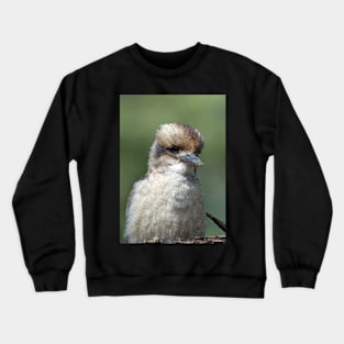 Kookaburra Crewneck Sweatshirt